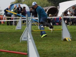 Les Concours