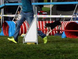 Les Concours