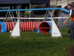Les Concours