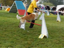Les Concours