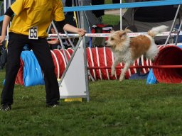 Les Concours