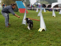 Les Concours