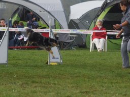 Les Concours