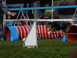 Les Concours