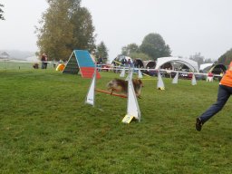 Les Concours