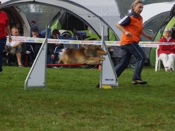 Les Concours