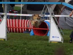 Les Concours