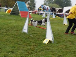 Les Concours