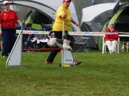 Les Concours