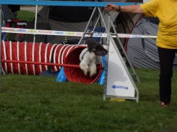 Les Concours