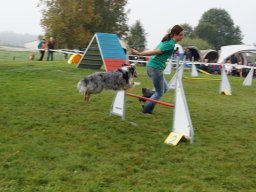Les Concours