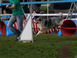 Les Concours