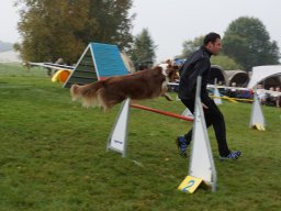Les Concours
