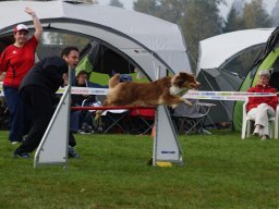 Les Concours