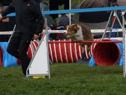 Les Concours