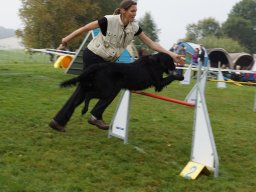 Les Concours