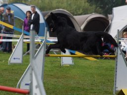 Les Concours