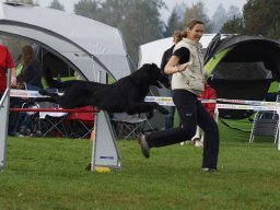 Les Concours