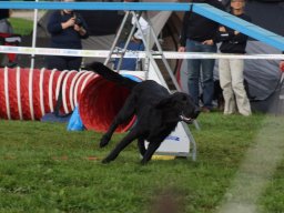 Les Concours