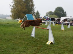 Les Concours