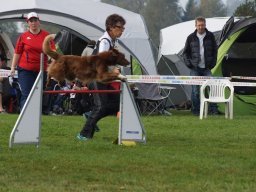 Les Concours
