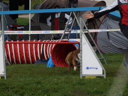Les Concours