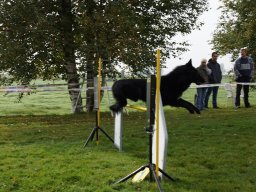 Les Concours