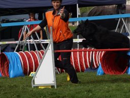 Les Concours