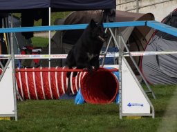 Les Concours