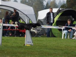 Les Concours