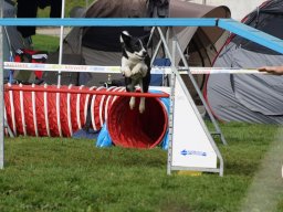Les Concours