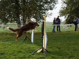 Les Concours