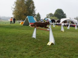 Les Concours