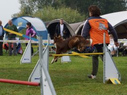 Les Concours