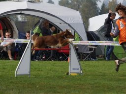 Les Concours
