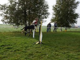 Les Concours