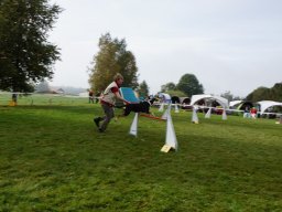 Les Concours