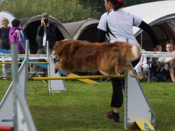 Les Concours