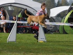 Les Concours