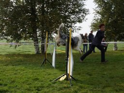 Les Concours