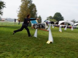 Les Concours