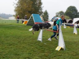 Les Concours