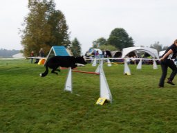 Les Concours