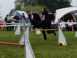 Les Concours