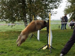 Les Concours
