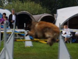 Les Concours