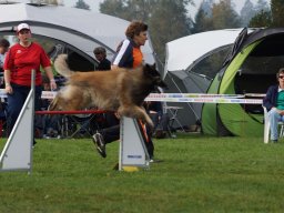 Les Concours