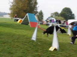 Les Concours
