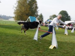 Les Concours