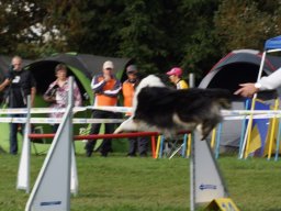 Les Concours